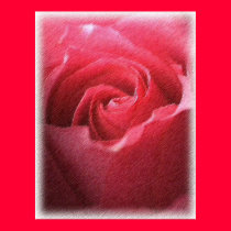 Textured Rose posters