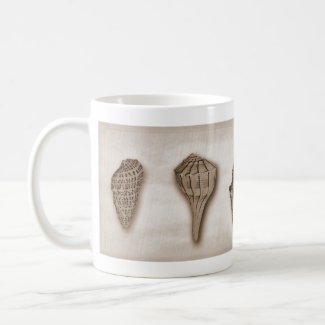 Textured Sepia Seashells Coffee Mug