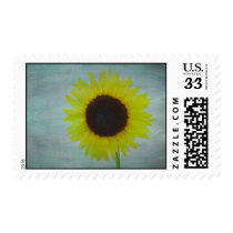 textured sunflower postage
