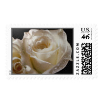 Textured White Rose Postage