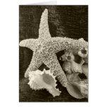 Textures Of The Sea Cards