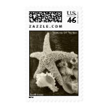 Textures Of The Sea Postage Stamps
