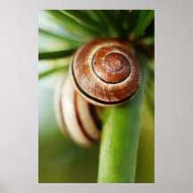 Textures Posters