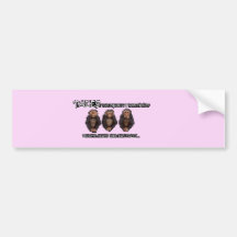 TFMT PINK Bumper Sticker!