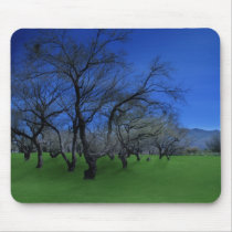 TG Photography Mouse Pad mousepads