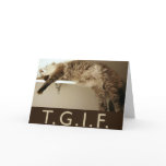 TGIF Kitty Style! Greeting Card
