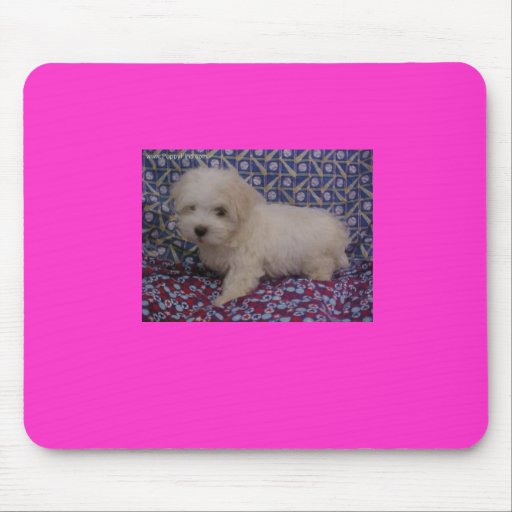 tgvbu6t907i mousepads