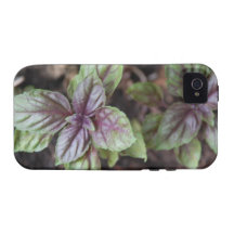 Thai Basil Case For The iPhone 4