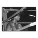 Thai Boxer cards
