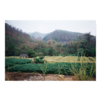 thai farm posters
