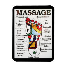 Thai Foot Massage / Reflexology / Zone Therapy Vinyl Magnets
