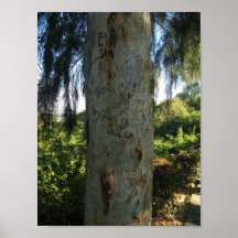 Thai Tree Graffiti Posters