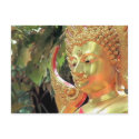 Thailand Buddha postcards by rainbowdharma Thailand Buddha postcards