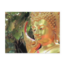 Thailand Buddha postcards