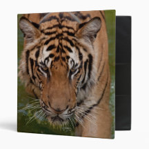 Thailand Tiger Avery Binder