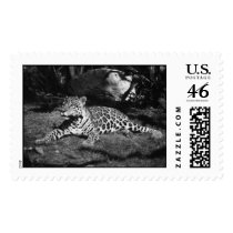 Thailand Wildlife #1 postage