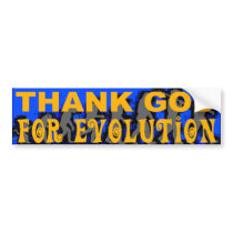 Thank God For Evolution Bumper Sticker bumper stickers by egeardesigns Thank God For Evolution Bumper Sticker bumper stickers