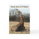 Thank God it's Friday!!! cards
