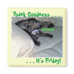 Thank Goodness . . . Magnets