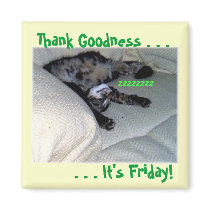 Thank Goodness . . . magnets