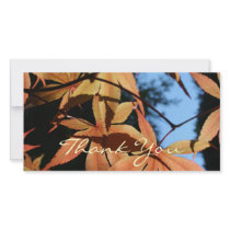 Thank You (2) - Japanese Maple photo cards by PBsecretgarden Thank You (2) - Japanese Maple photo cards