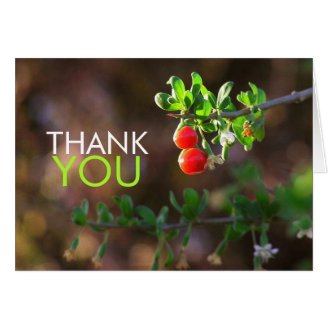  Peacock Green Fractal Lace Thank You Greeting Cards