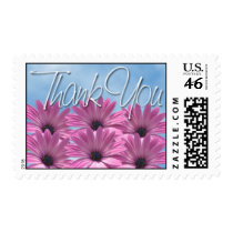 Thank You • African Daisy