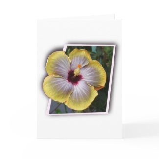 Thank you aloha mahalo designs card