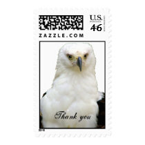 Thank You/Any Occasions_ Postage postage