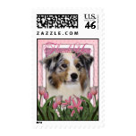 Thank You - Australian Shepherd postage