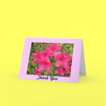 Thank You Azaleas cards