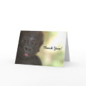 THANK YOU Baby Gorilla Card by pulsDesign THANK YOU Baby Gorilla Card
