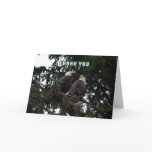 Thank You, Bald Eagles Card