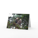 Thank You, Bald Eagles Card