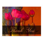 Thank You Beautiful Tulips postcards