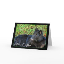 Thank You Belgian Shepherd greeting card