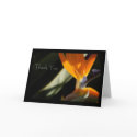 THANK YOU Bird-of-Paradise Card