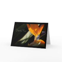 THANK YOU Bird-of-Paradise Card by pulsDesign THANK YOU Bird-of-Paradise Card