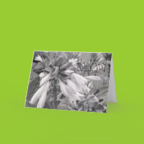 Thank You Blank Card cards