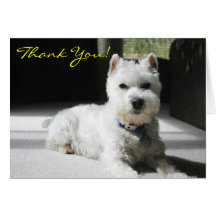 Thank You, Blank, Mini Schnauzer Card