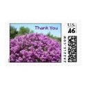Thank You Blooming Texas Sage Postage stamp