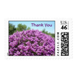 Thank You Blooming Texas Sage Postage