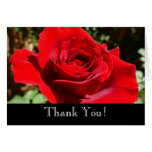 Thank You Bright Red Rose Card