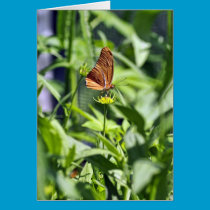 Thank You Butterfly cards