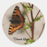 Thank You Butterfly Sticker