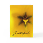 Thank you Card