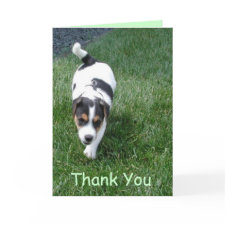 Thank You card