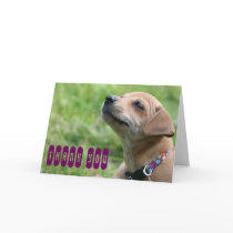Thank you! cards
