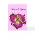 Thank You Card by Mike144mann Thank You Card