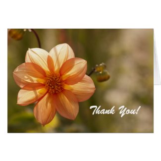 Thank You! Card